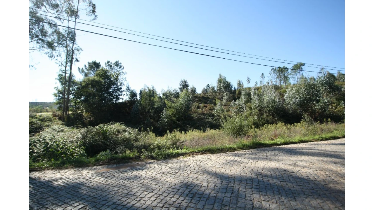 Terreno para Venda em Sobrado Foto 8