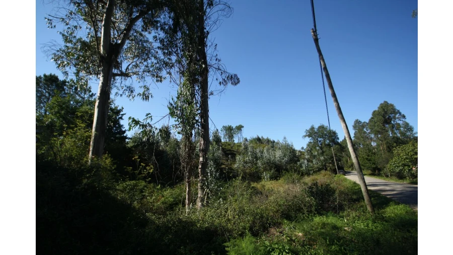 Terreno para Venda em Sobrado