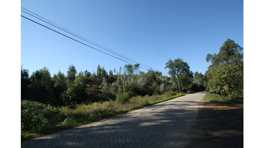 Terreno para Venda em Sobrado Foto 11