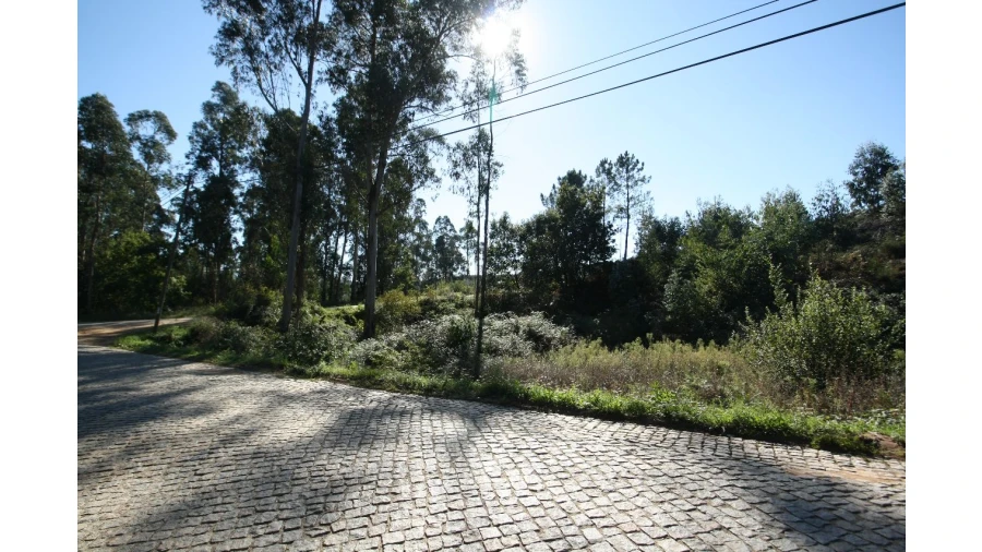 Terreno para Venda em Sobrado Foto 6