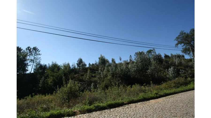 Terreno para Venda em Sobrado Foto 13