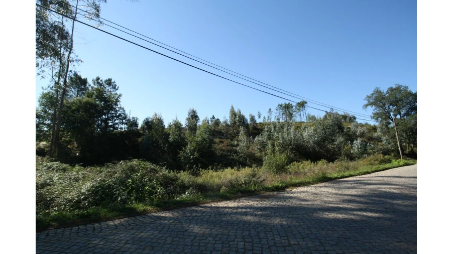 Terreno para Venda em Sobrado Foto 7