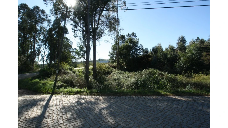 Terreno para Venda em Sobrado Foto 5