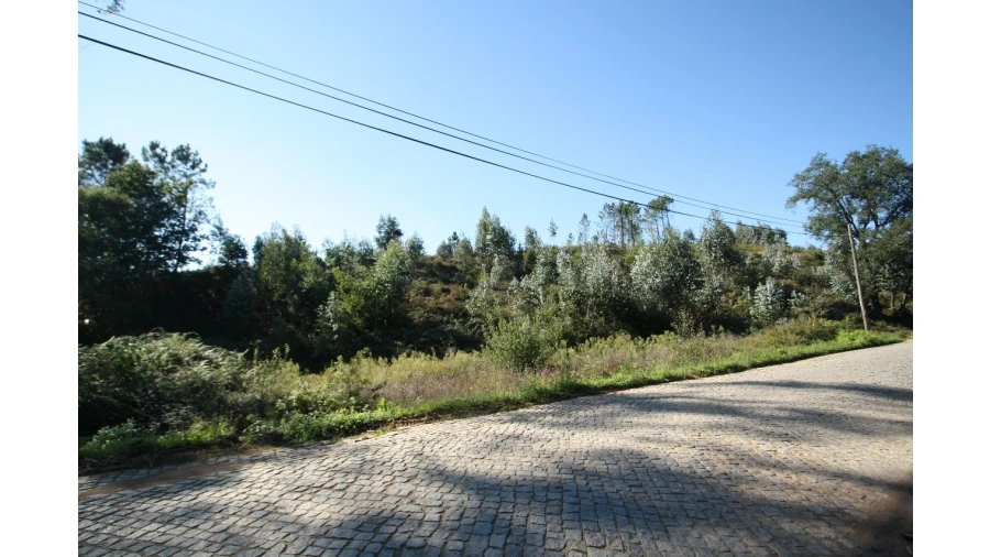 Terreno para Venda em Sobrado Foto 14