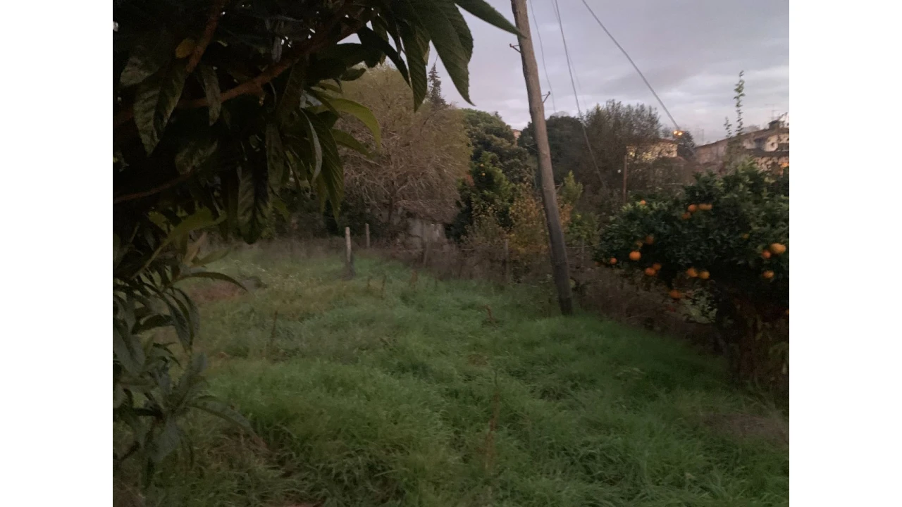 Prédio para Venda em Viseu Foto 11