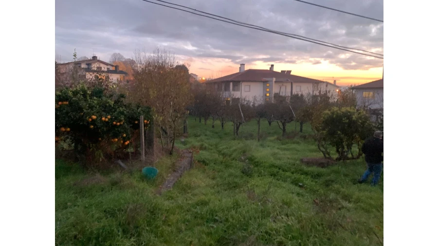Prédio para Venda em Viseu Foto 10