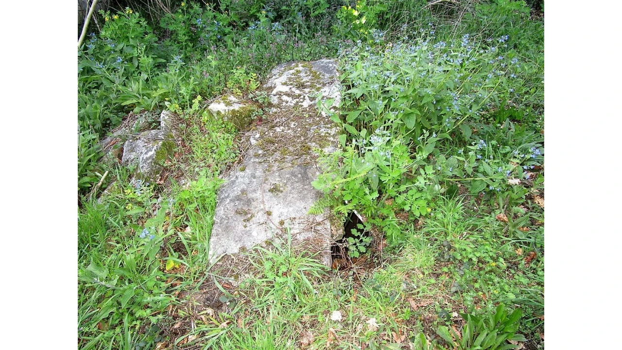 Quinta para Venda em Vilela Foto 12