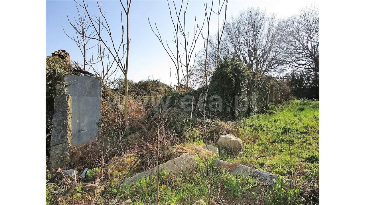 Quinta para Venda em Vilela Foto 13