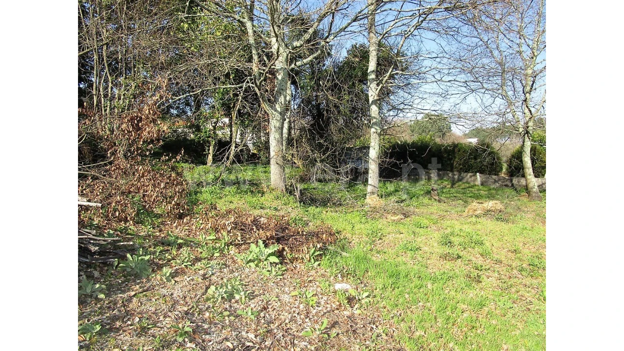 Quinta para Venda em Vilela Foto 18