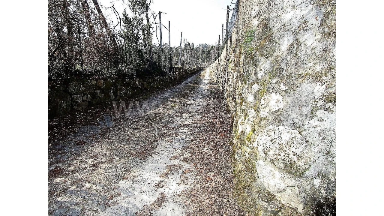 Quinta para Venda em Vilela Foto 21