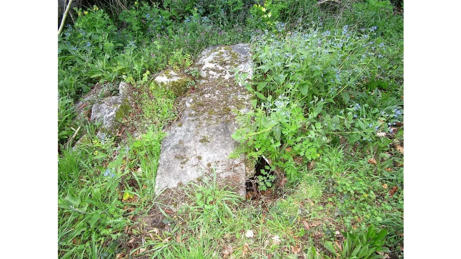 Quinta para Venda em Vilela Foto 12