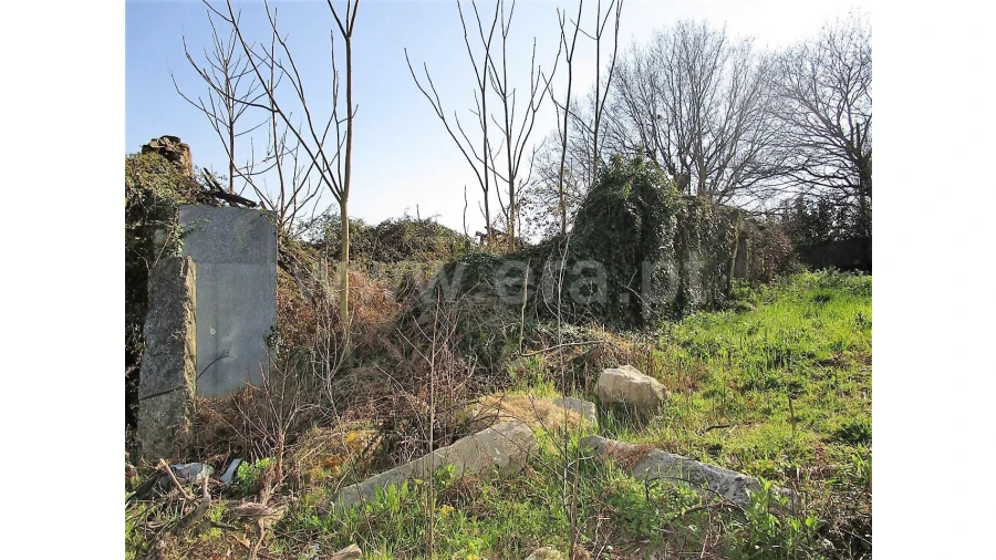 Quinta para Venda em Vilela Foto 13