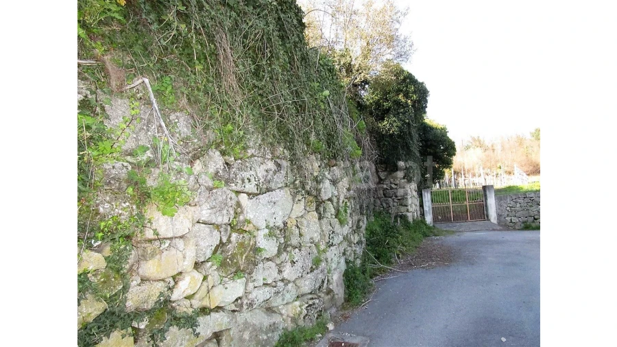 Quinta para Venda em Vilela Foto 20