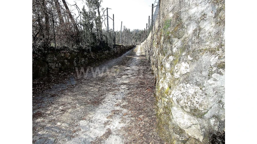 Quinta para Venda em Vilela Foto 21