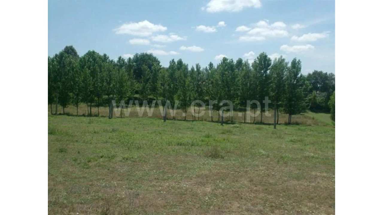 Terreno para Venda em Monsul Foto 5