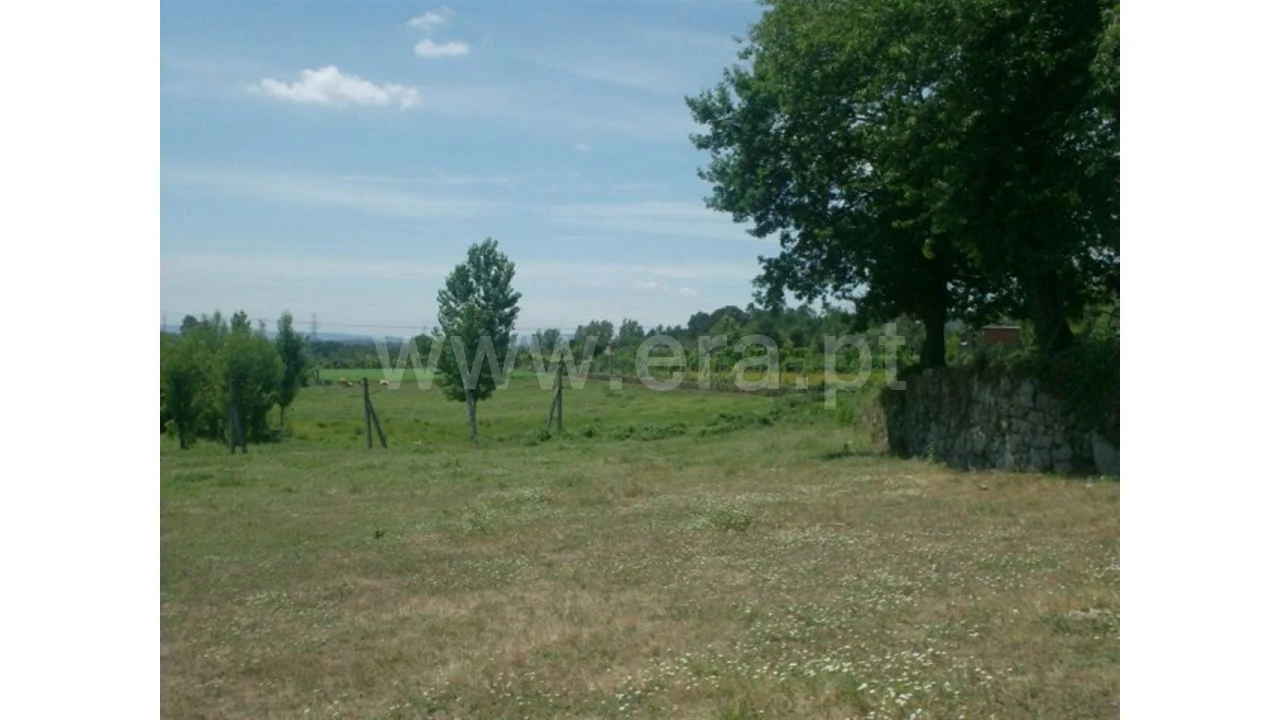 Terreno para Venda em Monsul Foto 6