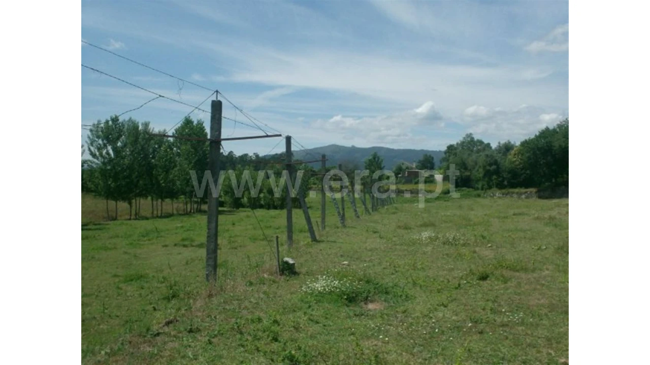 Terreno para Venda em Monsul Foto 12