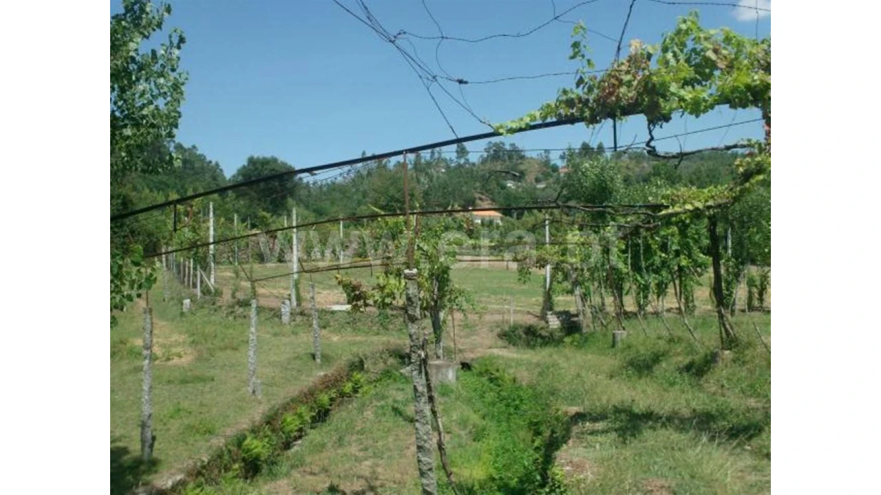 Terreno para Venda em Monsul Foto 15