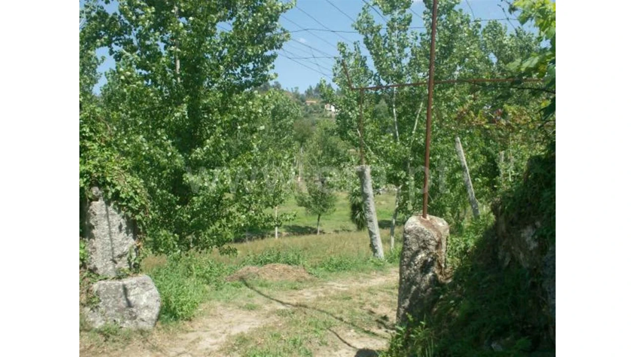 Terreno para Venda em Monsul Foto 16