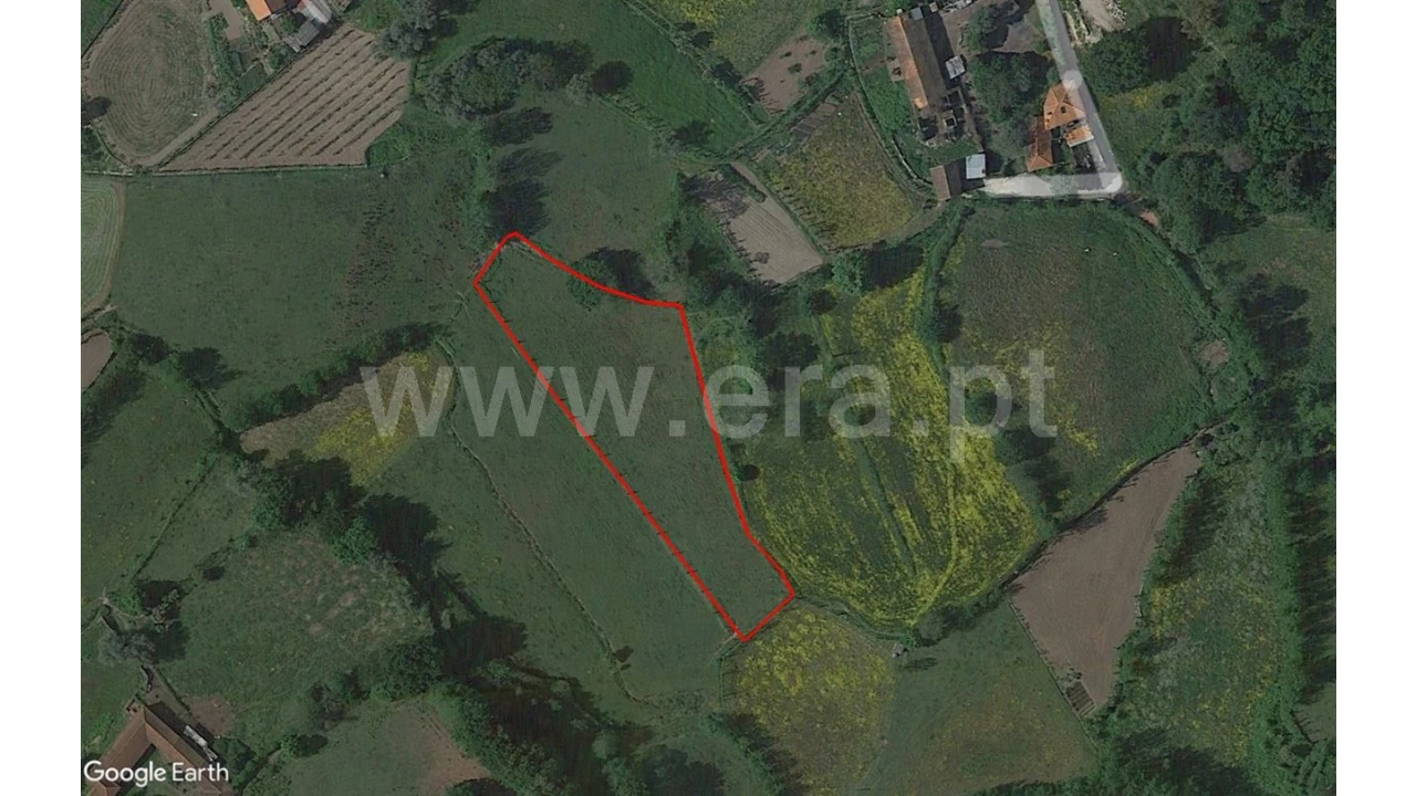 Terreno para Venda em Monsul Foto 17