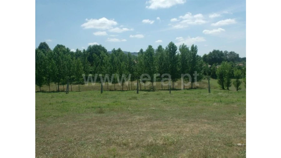 Terreno para Venda em Monsul Foto 3