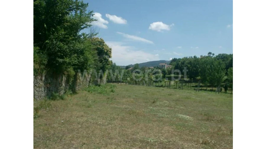 Terreno para Venda em Monsul Foto 4