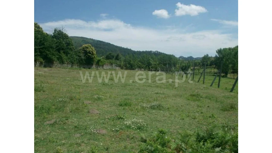 Terreno para Venda em Monsul Foto 7