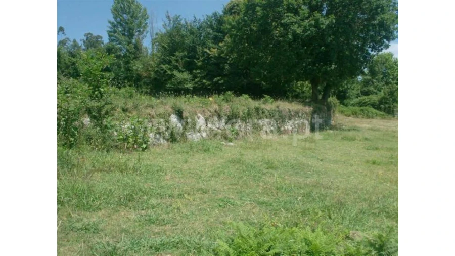 Terreno para Venda em Monsul Foto 11