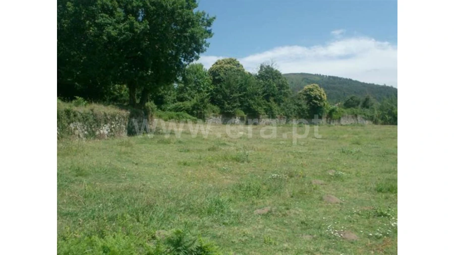 Terreno para Venda em Monsul Foto 9