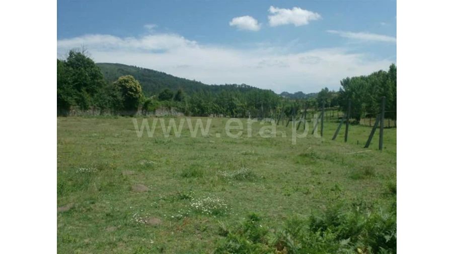 Terreno para Venda em Monsul Foto 8