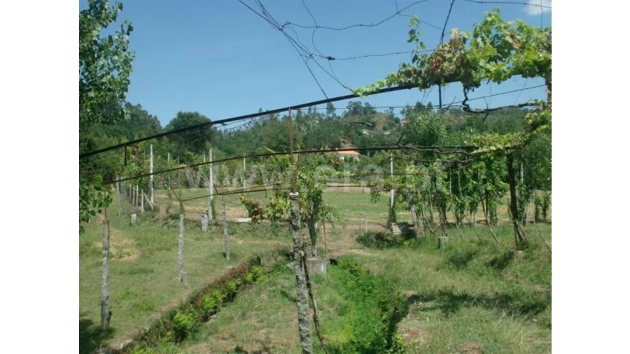 Terreno para Venda em Monsul Foto 15