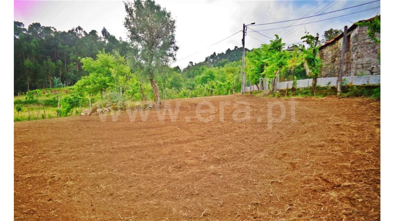 Terreno para Venda em Sobradelo da Goma Foto 5