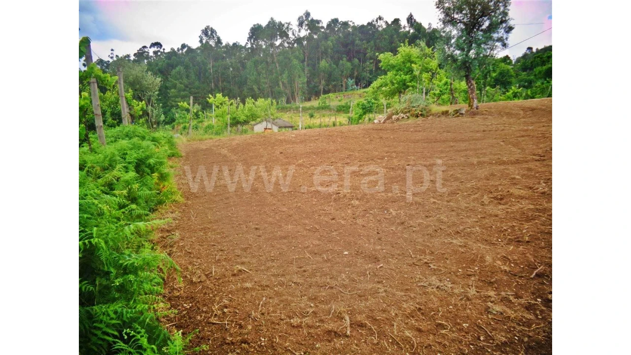 Terreno para Venda em Sobradelo da Goma Foto 7