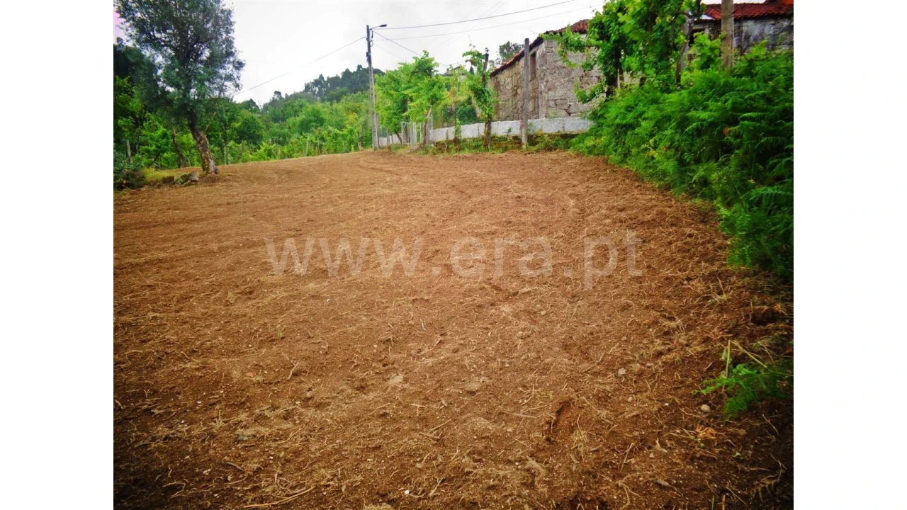 Terreno para Venda em Sobradelo da Goma Foto 6