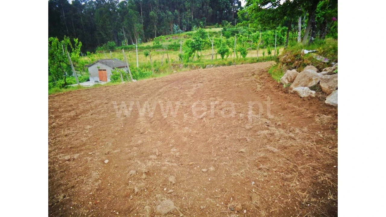 Terreno para Venda em Sobradelo da Goma Foto 8