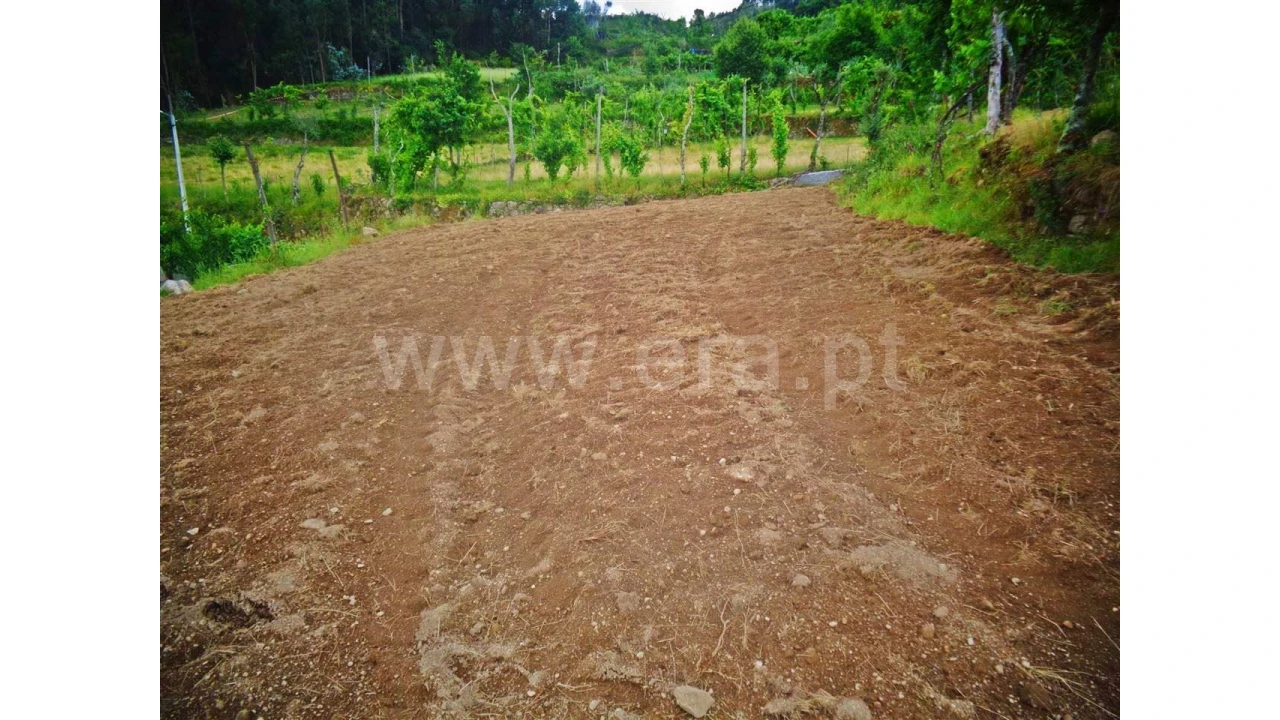Terreno para Venda em Sobradelo da Goma Foto 9