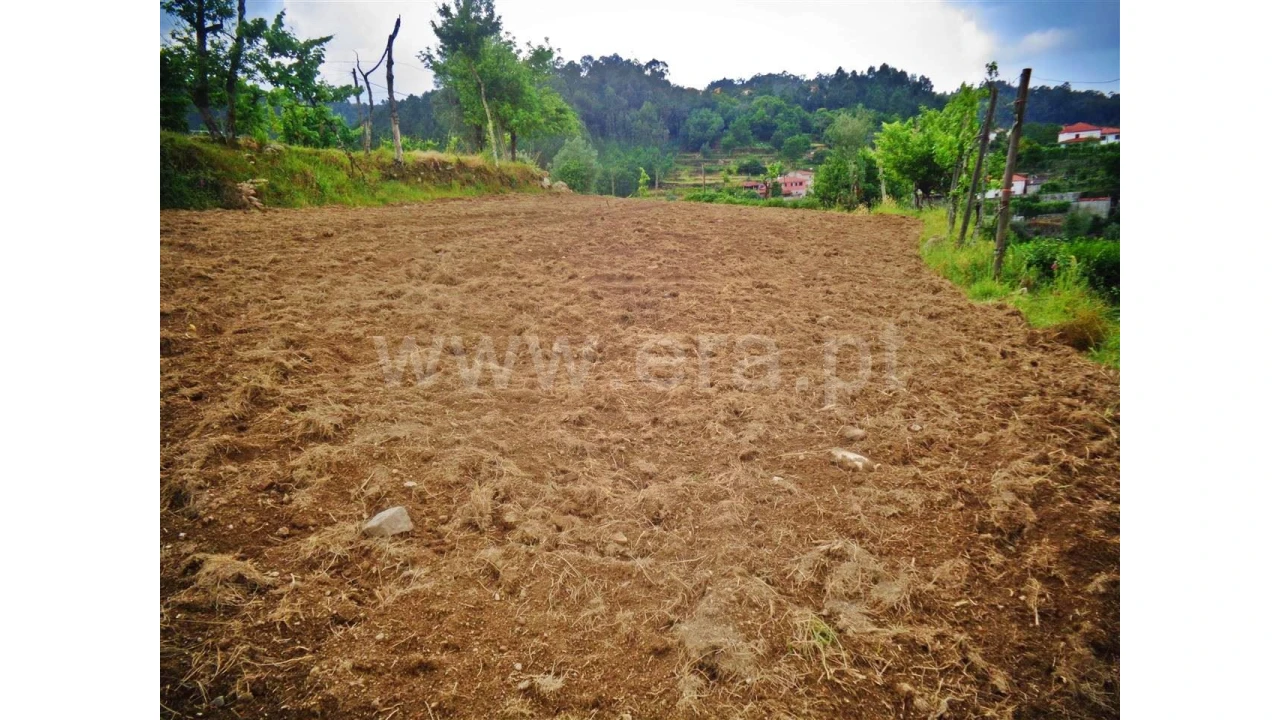 Terreno para Venda em Sobradelo da Goma Foto 10