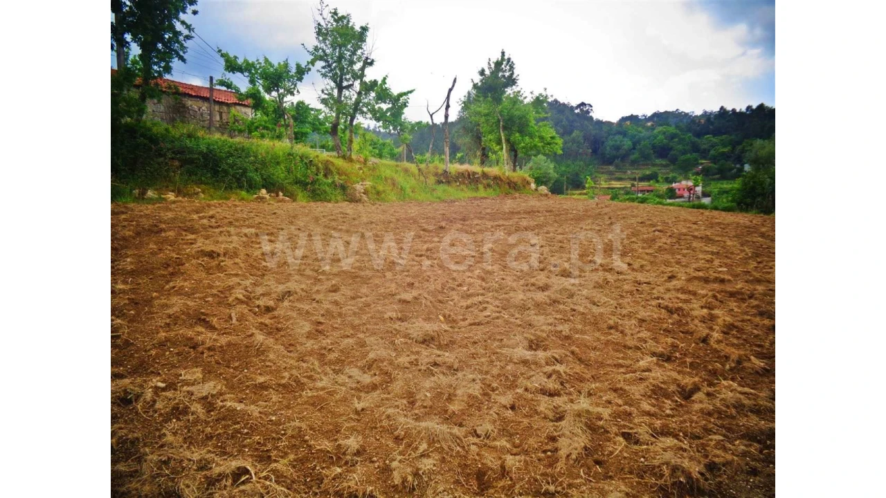Terreno para Venda em Sobradelo da Goma Foto 11