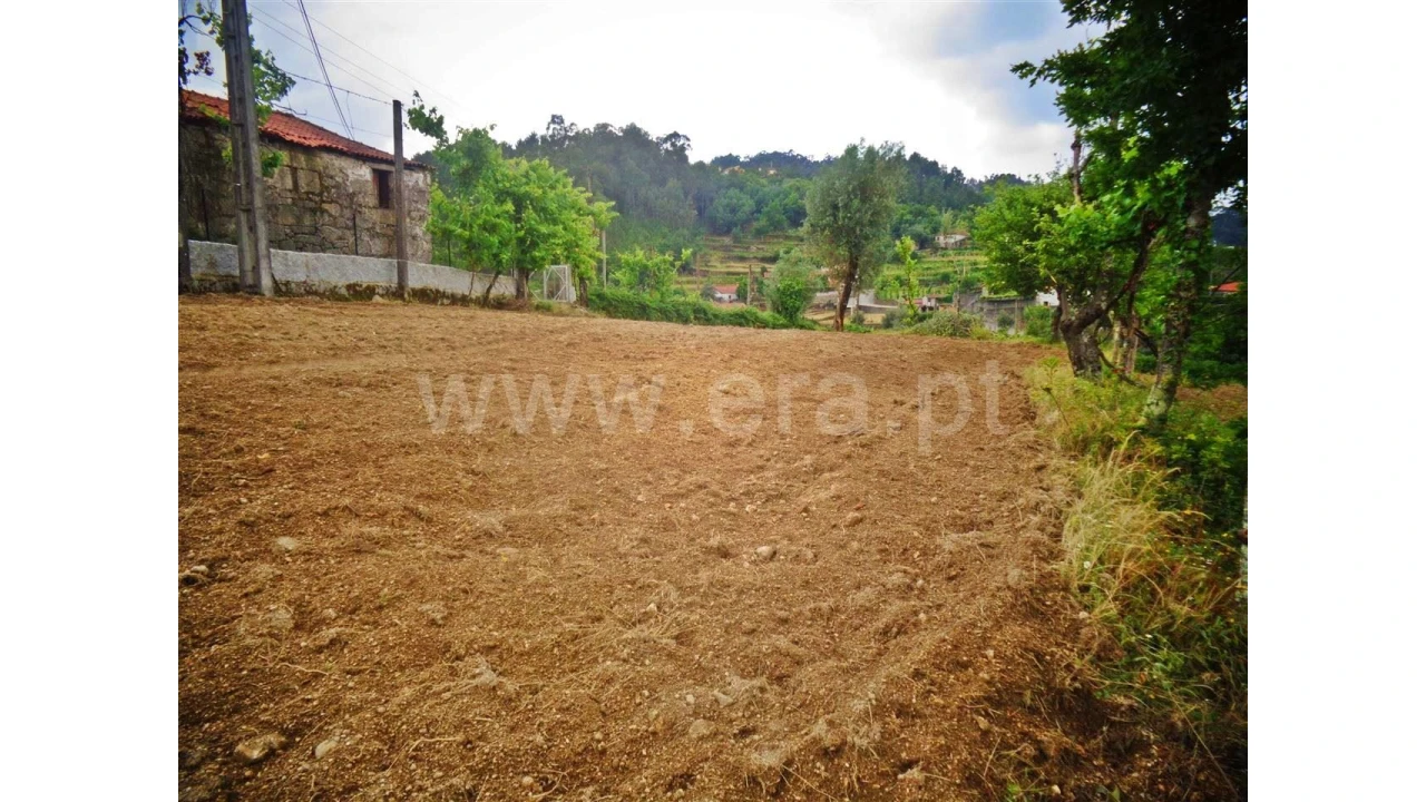 Terreno para Venda em Sobradelo da Goma Foto 13