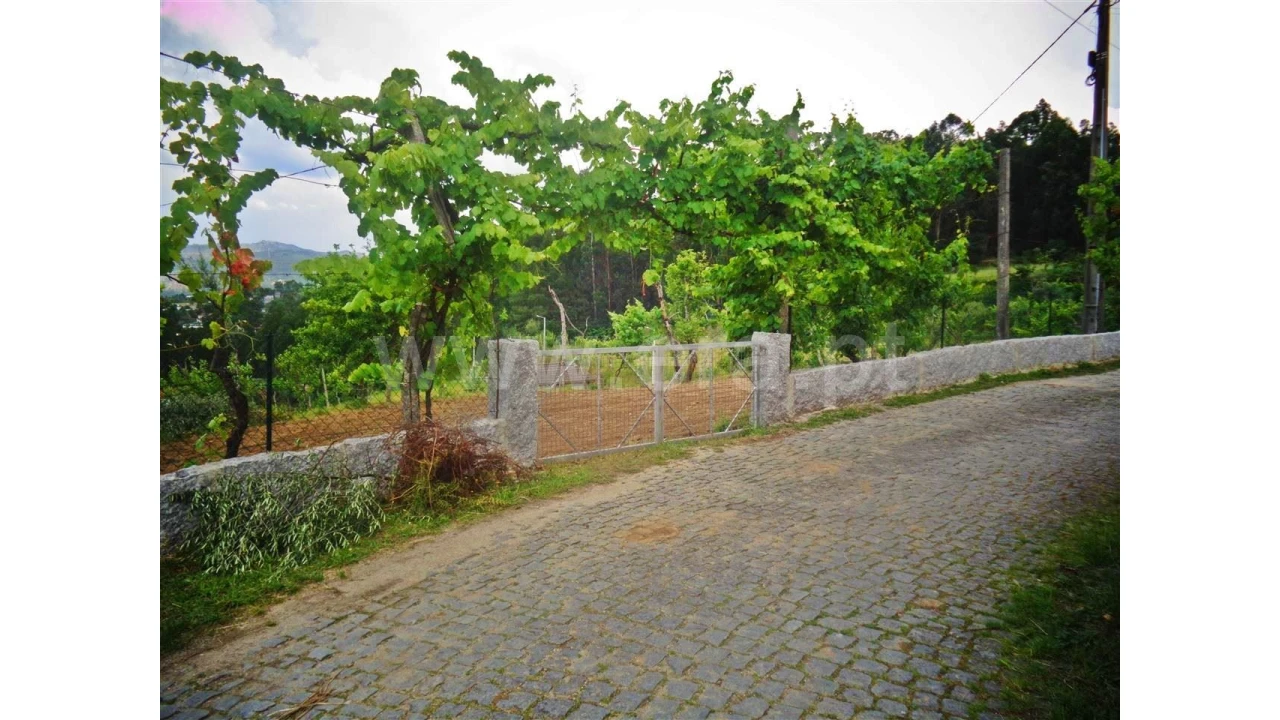 Terreno para Venda em Sobradelo da Goma Foto 17