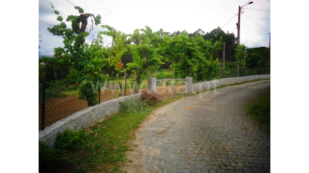 Terreno para Venda em Sobradelo da Goma Foto 18