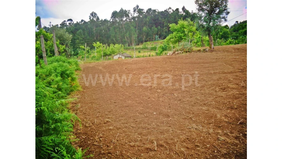 Terreno para Venda em Sobradelo da Goma Foto 7