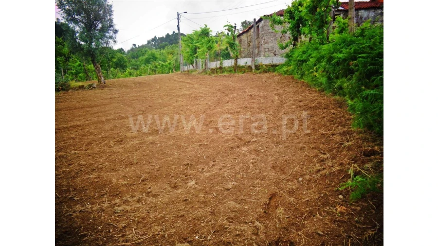 Terreno para Venda em Sobradelo da Goma Foto 6