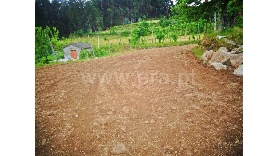Terreno para Venda em Sobradelo da Goma Foto 8