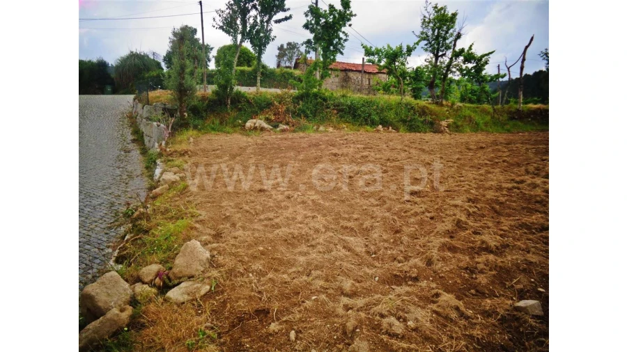 Terreno para Venda em Sobradelo da Goma Foto 12