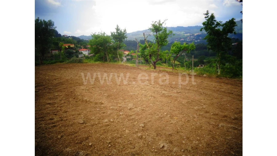 Terreno para Venda em Sobradelo da Goma Foto 14