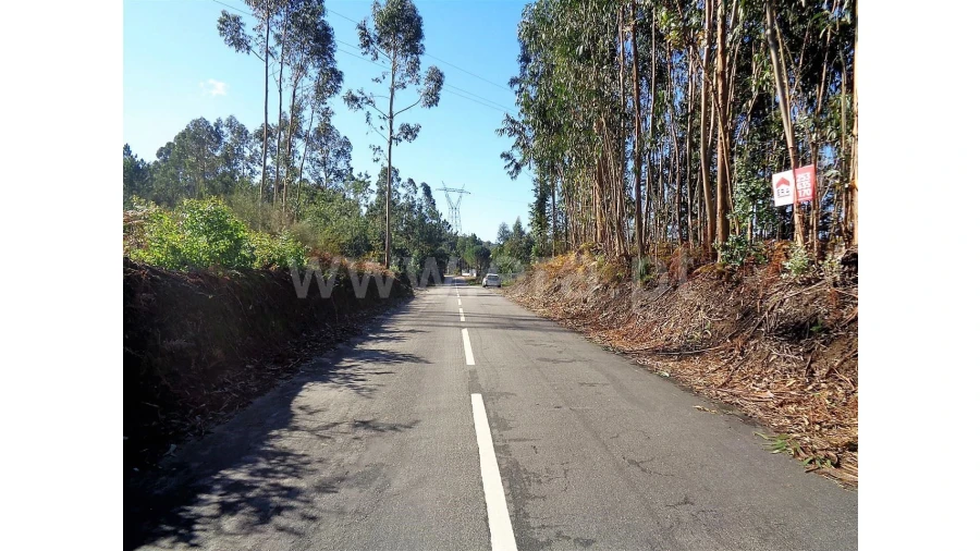 Terreno para Venda em Ferreiros Foto 13