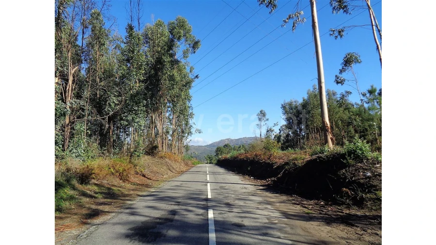 Terreno para Venda em Ferreiros Foto 14