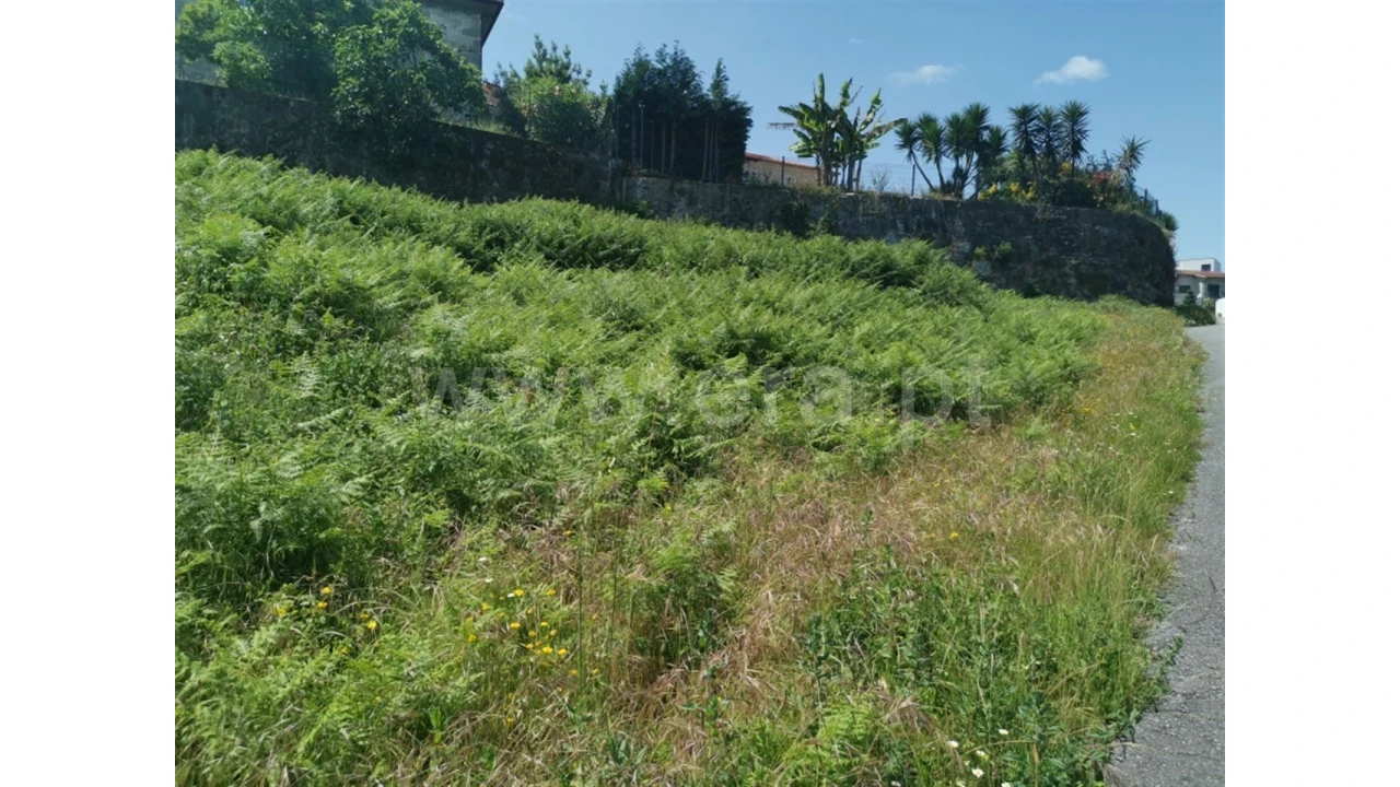 Terreno para Venda em Galegos Foto 6