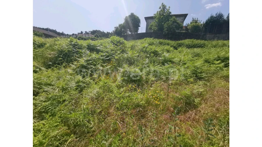 Terreno para Venda em Galegos Foto 2